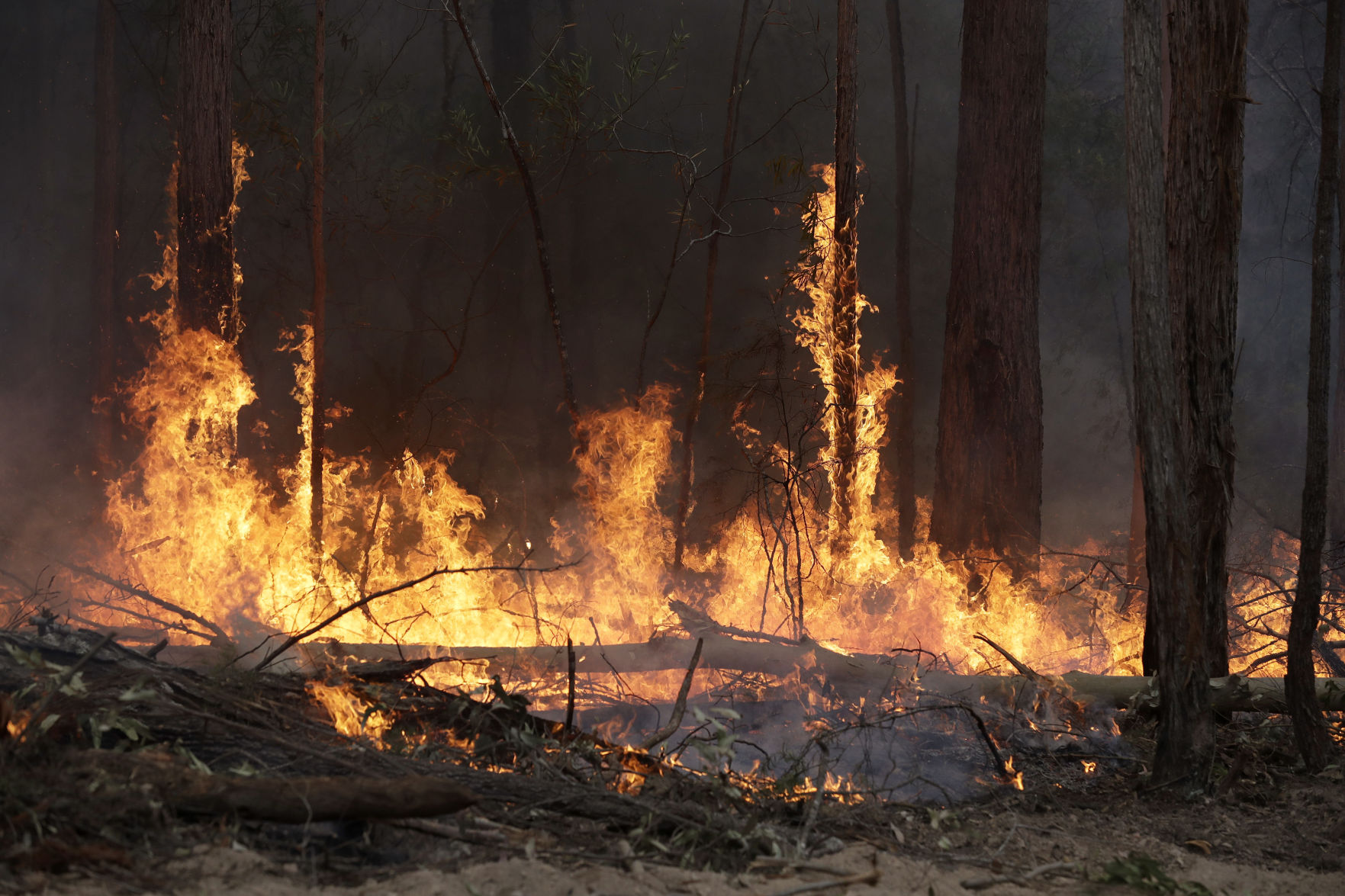 Australia wildfires